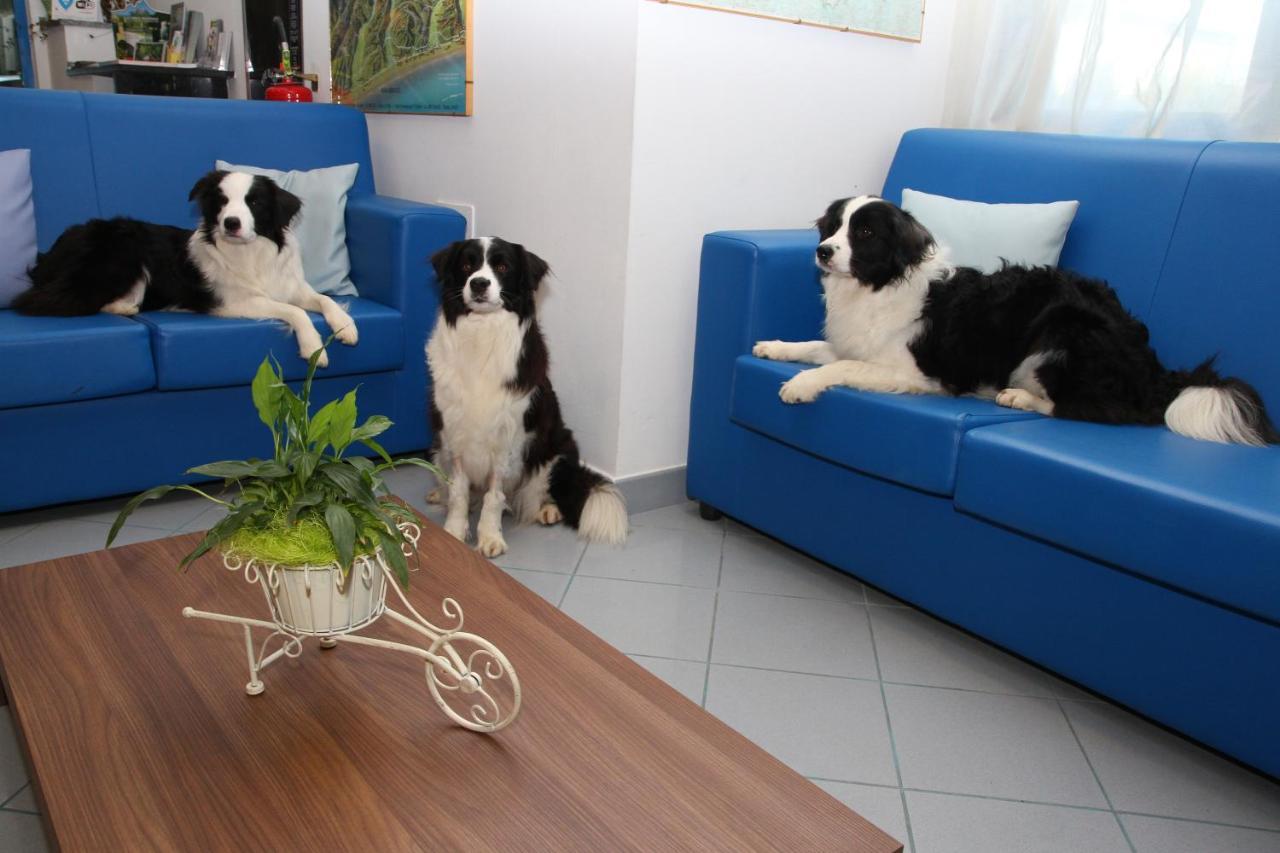 Hotel Marina Roseto Degli Abruzzi Luaran gambar