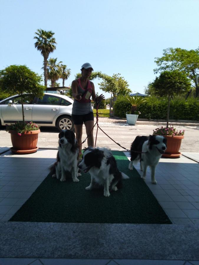 Hotel Marina Roseto Degli Abruzzi Luaran gambar